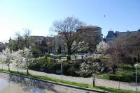 Imagine atasata: Bega - 2013.04.14 - 04.jpg